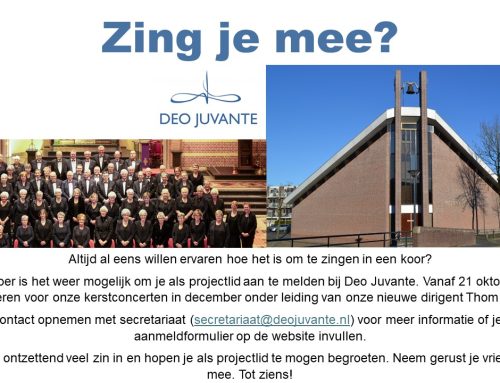 Zing je mee?